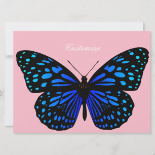 Carte Papillon bleu Thunder_Cove