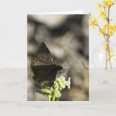 Carte Papillon Brown (Fleur jaune)