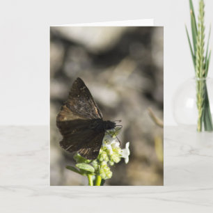 Carte Papillon Brown