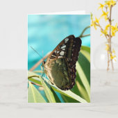 Carte Papillon Brown - Ailes fermées (Fleur jaune)