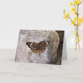 Carte Papillon Buckeye (Fleur jaune)