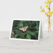 Carte Papillon de jardin (Fleur jaune)