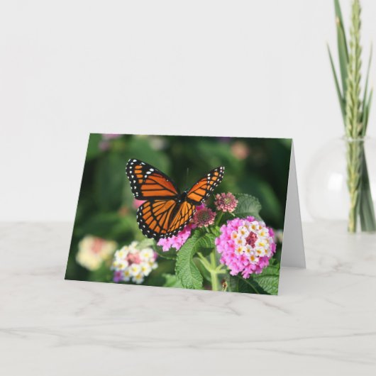 Carte Papillon de monarque sur la fleur de Lantana (Devant)