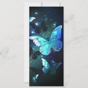 Carte Papillon de nuit