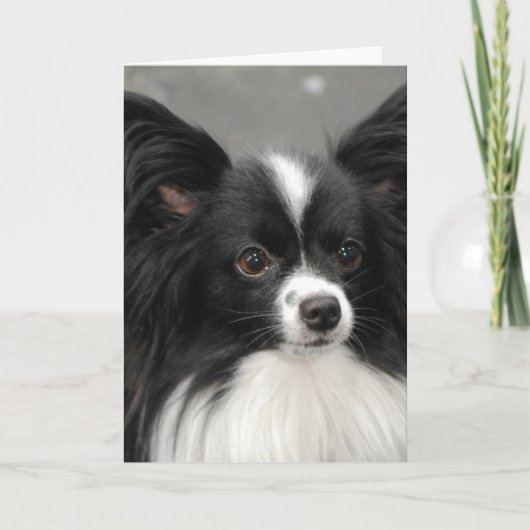 Carte Papillon Dog  Note Card (Devant)