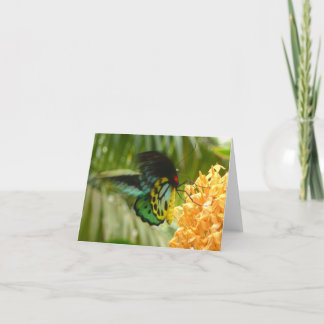 Carte Papillon enchanteur