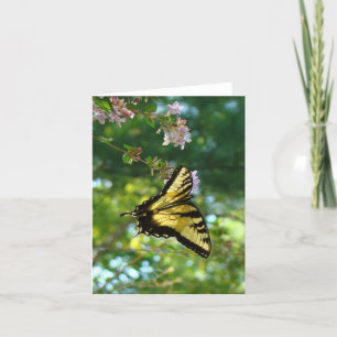 Carte Papillon et ciel