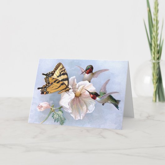 Carte Papillon et colibri (Devant)