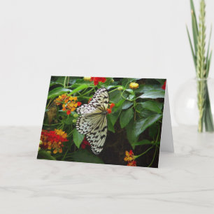 Carte Papillon et Fleurs Hi/Hello Greeting Card