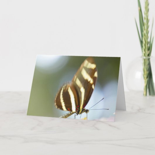Carte "Papillon flou".Carte de voeux (Devant)