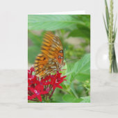 Carte Papillon Fritillaire du Golfe sur Fleur Penta Roug (Devant)