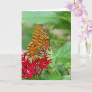 Carte Papillon Fritillaire du Golfe sur Fleur Penta Roug