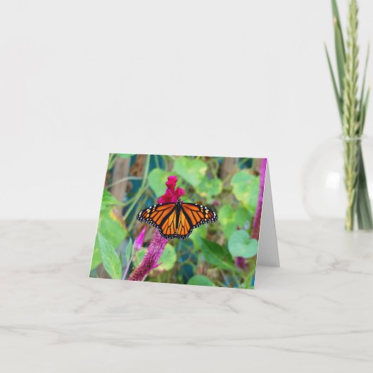 Carte Papillon monarque (Devant)