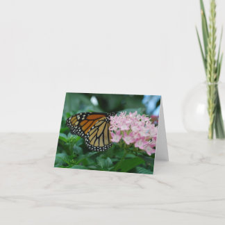 Carte Papillon monarque
