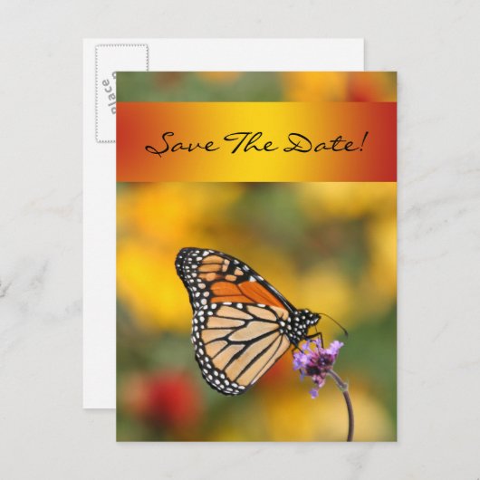 Carte Papillon Monarque (Devant / Derrière)