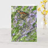 Carte Papillon Monarque dans un champ de lavande vierge (Fleur jaune)
