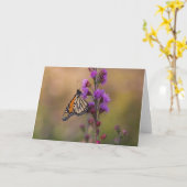 Carte Papillon monarque sur liatris (Fleur jaune)