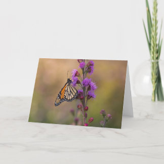 Carte Papillon monarque sur liatris