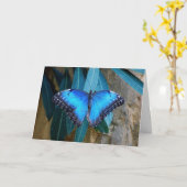 Carte Papillon Morpho Commun Bleu (Fleur jaune)