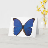 Carte Papillon Nestira Marpho (Fleur jaune)