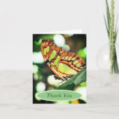 Carte Papillon observer la nature Merci personnalisé (Devant)
