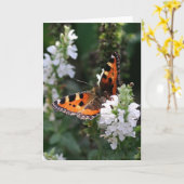 Carte Papillon orange et fleurs blanches (Fleur jaune)