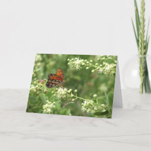 Carte Papillon orange Toutes les occasions Salutation bl
