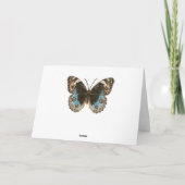 Carte Papillon Pansy Bleu (Dos)