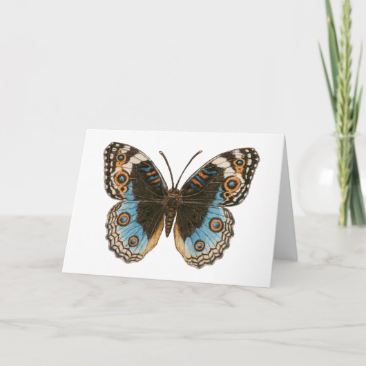 Carte Papillon Pansy Bleu (Devant)