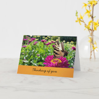 Carte Papillon - Pensée pour toi (intérieur vide)