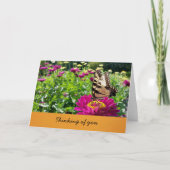 Carte Papillon- Pensées pour toi (intérieur vierge) (Devant)