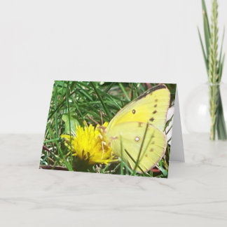 Carte Papillon - Penser À Vous