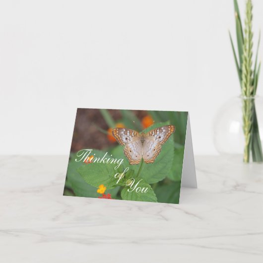 Carte Papillon qui pense à vous (Devant)