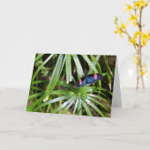 Carte Papillon sur la feuille (Fleur jaune)