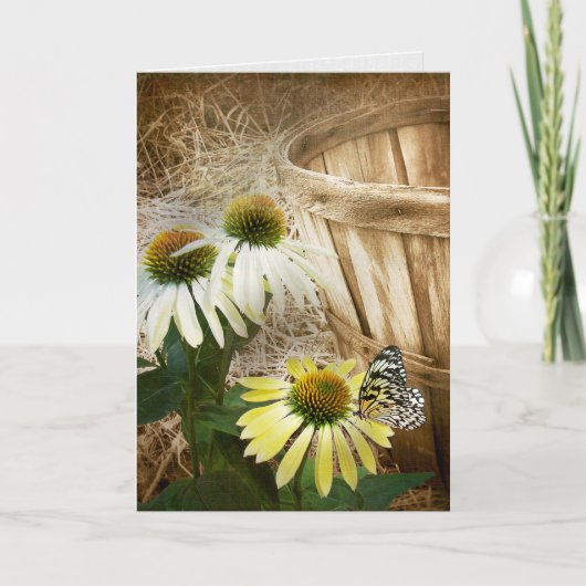 Carte Papillon sur la fleur de cône (Devant)