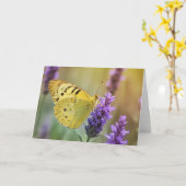 Carte Papillon sur Lavender (Fleur jaune)