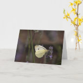 Carte Papillon sur Lavender (Fleur jaune)
