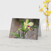 Carte papillon sur orchidée (Fleur jaune)