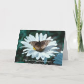 Carte Papillon sur une marguerite (Dos)