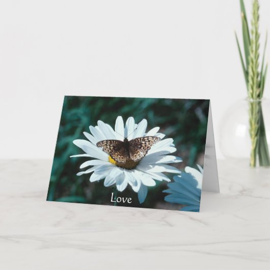 Carte Papillon sur une marguerite (Devant)