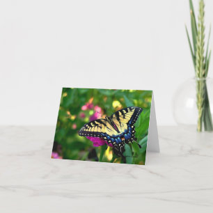 Carte Papillon Swallowtail