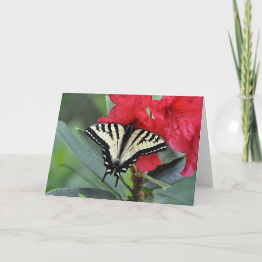 Carte Papillon Swallowtail avec Wings Open (Devant)