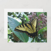Carte Papillon Swallowtail I sur Milkweed à Shenandoah (Devant / Derrière)