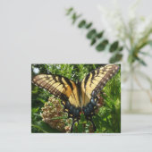 Carte Papillon Swallowtail III Belle photo colorée (Debout devant)