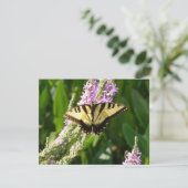 Carte Papillon Swallowtail sur Fleurs sauvages pourpres (Debout devant)