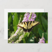 Carte Papillon Swallowtail sur Fleurs sauvages pourpres (Devant / Derrière)