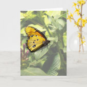 Carte Papillon Tiger clair (Fleur jaune)
