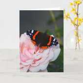 Carte Papillon Vanessa atalanta (Fleur jaune)