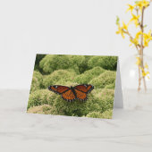 Carte Papillon Viceroy Belle photographie de la nature (Fleur jaune)