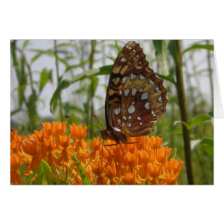 Carte Papillon (vide à l'intérieur)